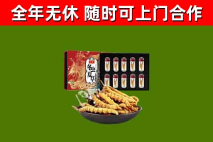 鄄城回收冬虫夏草价格